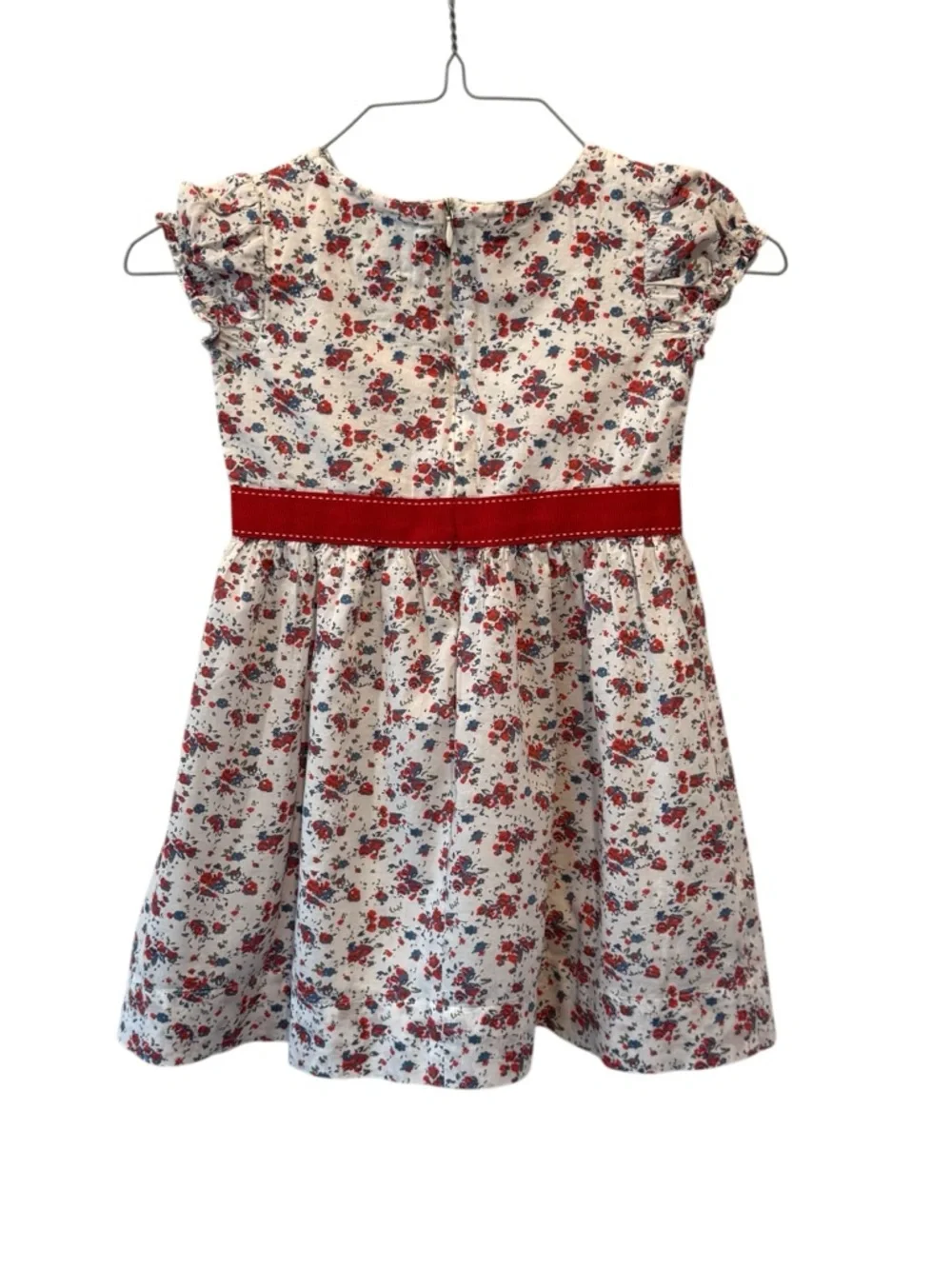The Dragon and the Rabbit Girls 4T Dress